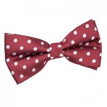 Burgundy polkadot fluga
