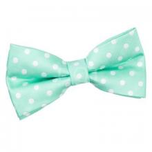 Mint polkadot fluga